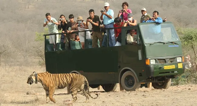 Jim Corbett National Park canter safari